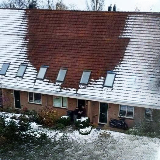 The House Without Snow and the Secret Beneath