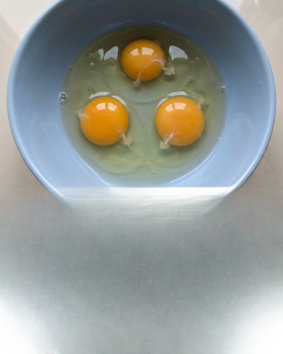What Is That White Stuff in Eggs?