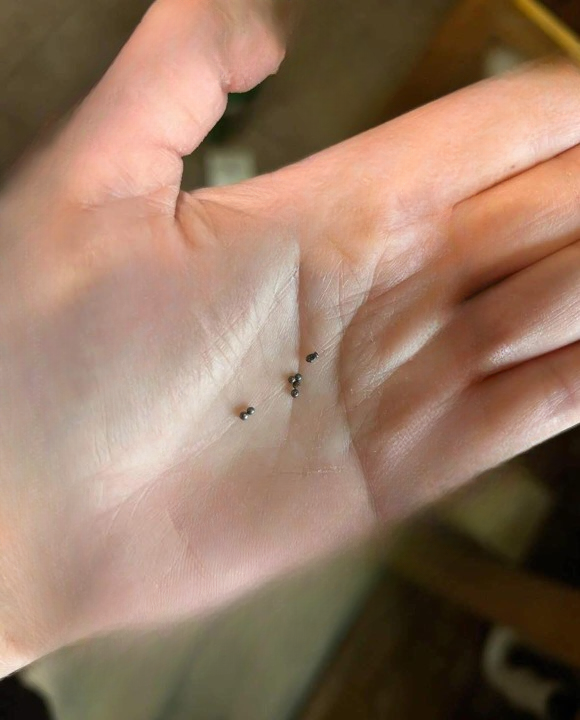Found Metal Balls Under Your Kitchen Sink? Here’s What They Mean