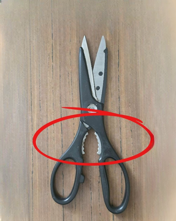 What Is That Weird Toothed Part on Kitchen Scissors For?
