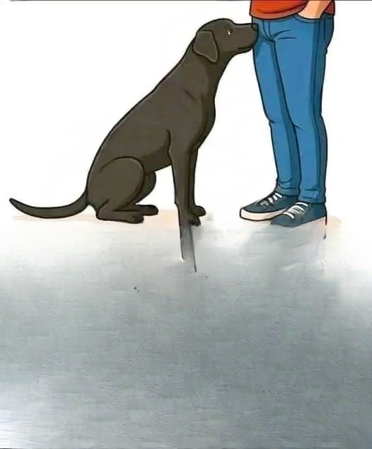 Why Dogs Sniff Certain Parts of Your Body: Understanding the Importance of Canine Smell and Communication