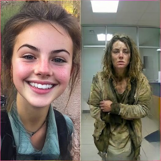 The Yellowstone Mystery Rewritten: Missing Teen Hiker Found Alive Seven Years Later With a Story That Shocked Everyone