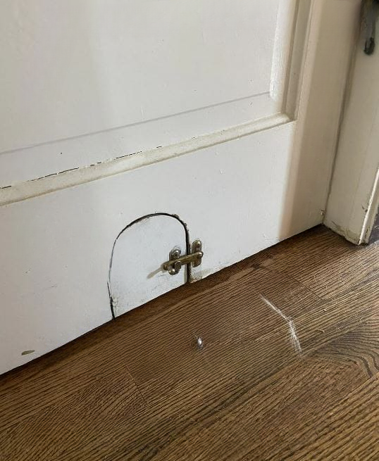 The Fascinating History Behind Small Doors in Old Houses: A Nod to Cats and Creative Living