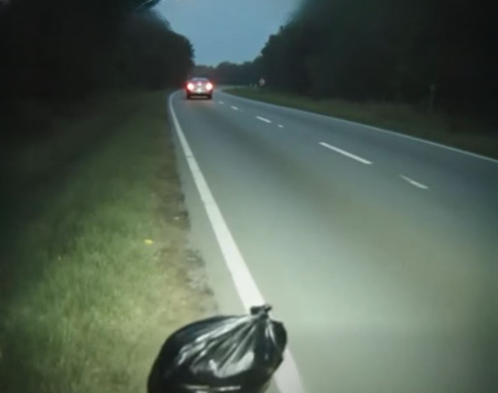 Driver Discovers Abandoned Puppy on Quiet Road: A Story of Compassion and Unexpected Rescue