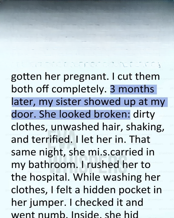 I Hated My Sister for Destroying My Marriage… Until the Night She Lost the Baby