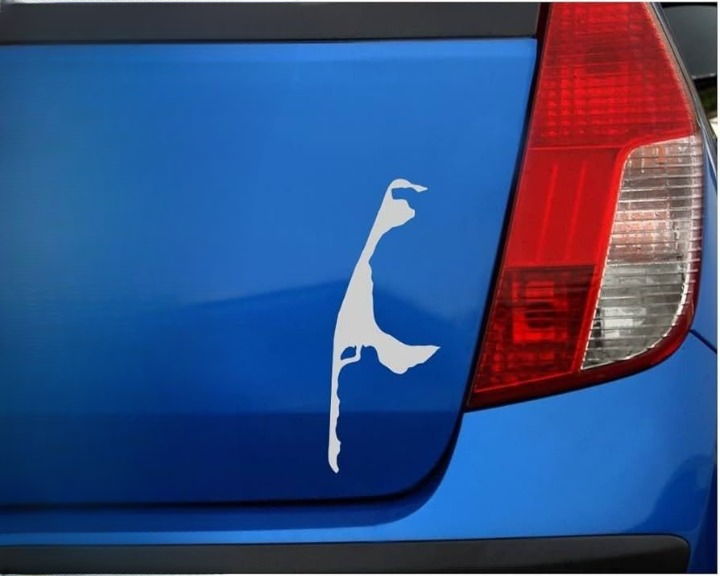 The Real Reason Drivers Put an Upside-Down Washington State Sticker on Their Cars — And What It Secretly Says About Where They’re From
