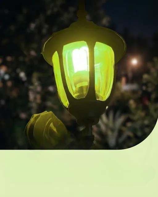 The Meaning Behind the Green Porch Light: A Powerful Symbol of Support, Awareness, and Community Connection