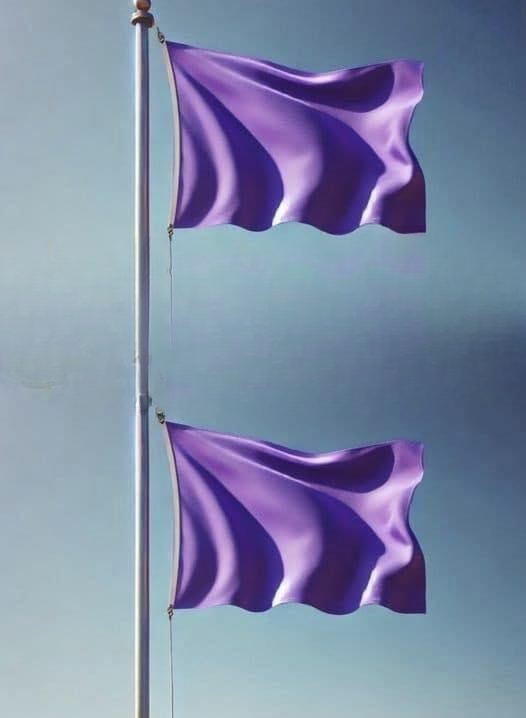 Why You Might See a Purple Flag Flying at the Beach (Complete Guide to Beach Safety and Marine Life Warnings)