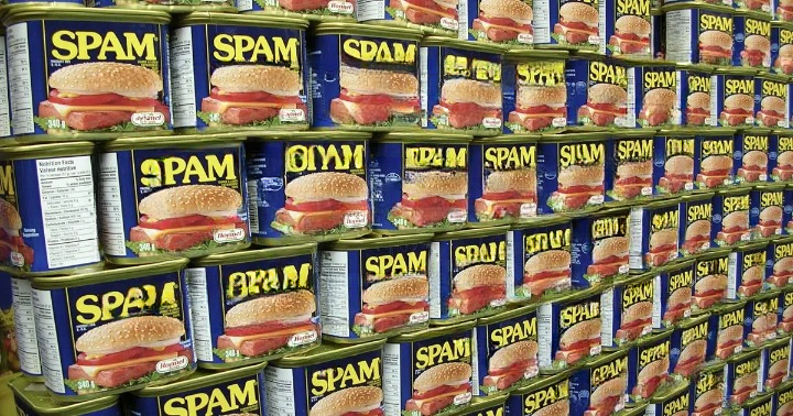 What Are the White Bits in Spam? A Complete Guide to Understanding What You’re Really Seeing