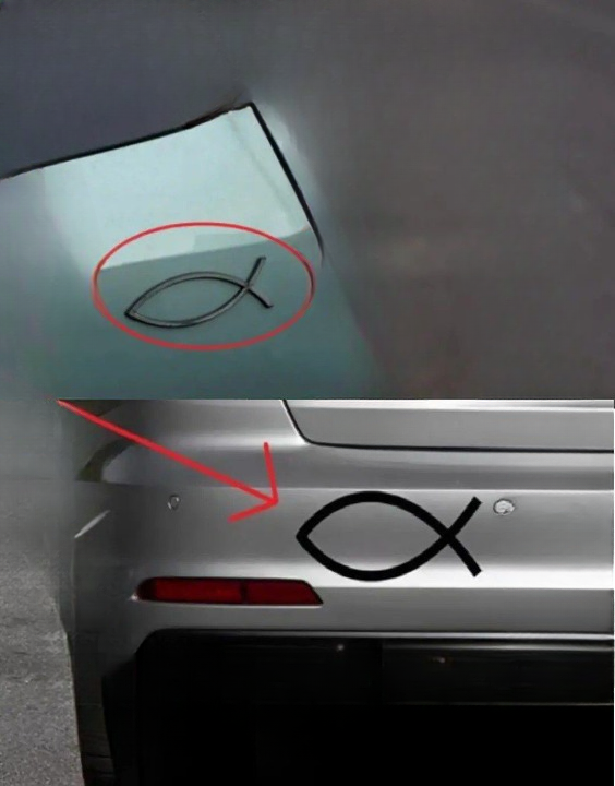 The Hidden Meaning Behind the Small Fish Symbol on Some Cars
