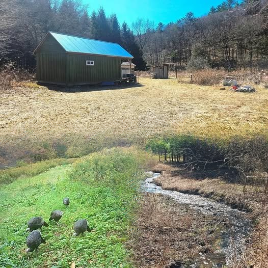 50-Acre Private Retreat with Cozy Rustic Cabin — A Peaceful Escape Surrounded by Nature