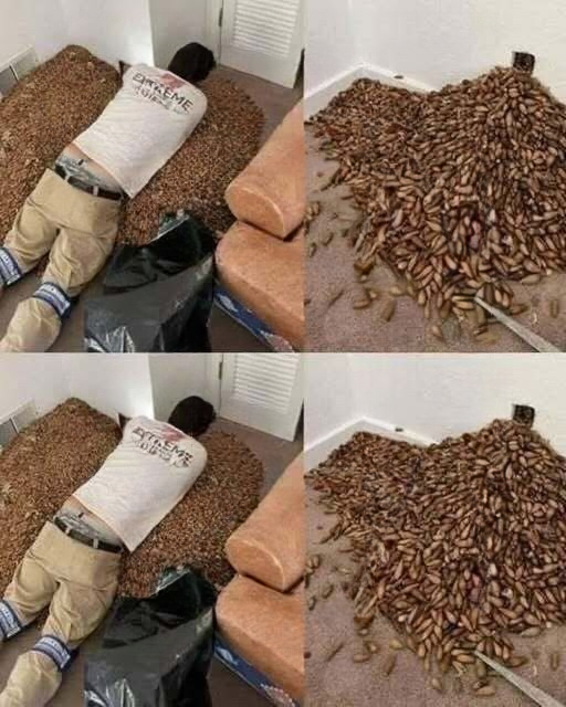 A Strange Smell in the House Kept Returning—What He Discovered Inside the Walls Changed Everything
