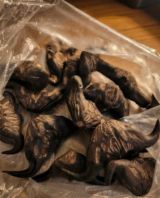 A Stranger’s Gift Turned Delicious: How to Identify and Enjoy Surprise Foods