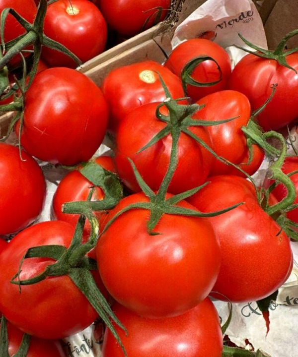 Doctors Reveal What Really Happens When You Eat Tomatoes Regularly — The Surprising Health Benefits Explained