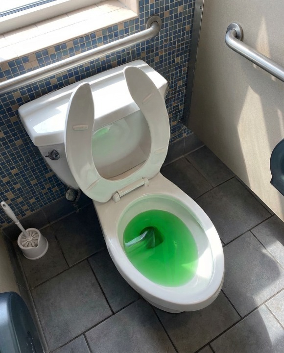 We Had to Call a Plumber After a Major Toilet Clog — And Learned More Than We Expected