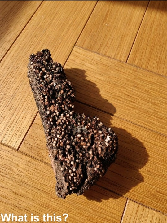 The Strange Discovery in My Son’s Room—And the Surprisingly Simple Explanation