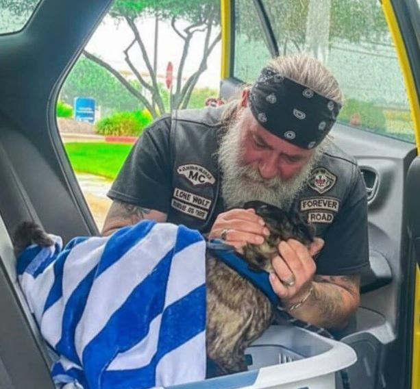 The Biker Was Crying Over Something Wrapped in a Blue Towel on the Highway — And What I Discovered Made Me Pull Over Instantly