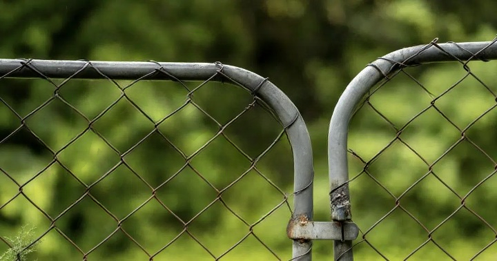 Which Side of the Fence Should Face Your Neighbor? Here’s What I Learned Before Building Mine