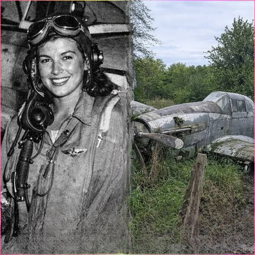 Fighter Pilot Vanished in 1944 — 70 Years Later, Her Plane Was Found in a Forest, Uncovering a Hidden War Story