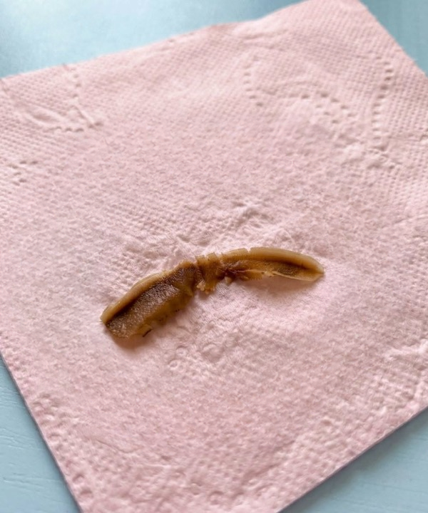 I Found This Strange Brown Object in My Girlfriend’s Bathroom — Here’s What It Turned Out to Be (And Why It’s Probably Not What You Think)