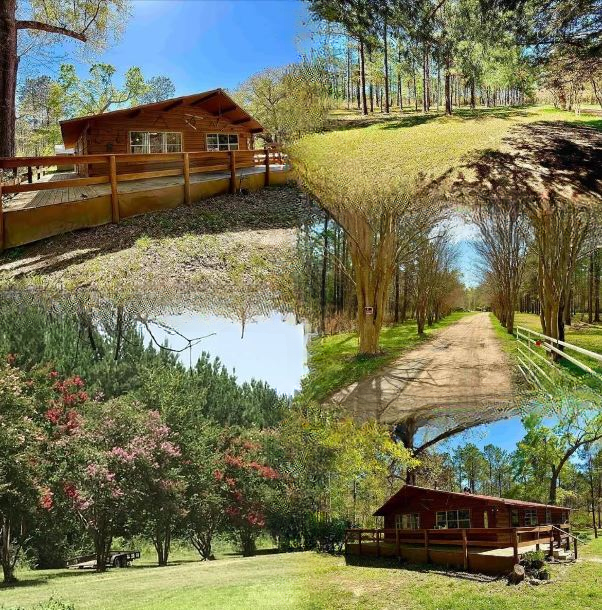 Title: “Private Log Cabin on 5 Acres in Southeast Texas: A Fixer-Upper with Investment Potential”