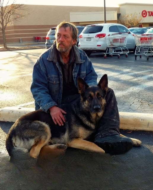 I Gave Food to a Hungry Veteran and His Dog – a Month Later, My Boss Dragged Me into His Office, Furious, and My Whole Life Flipped Upside Down
