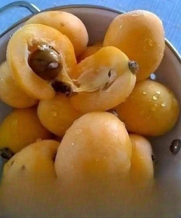 Forget Store-Bought Spreads Forever: The Ancient Fruit Secret That Will Revolutionize Your Morning