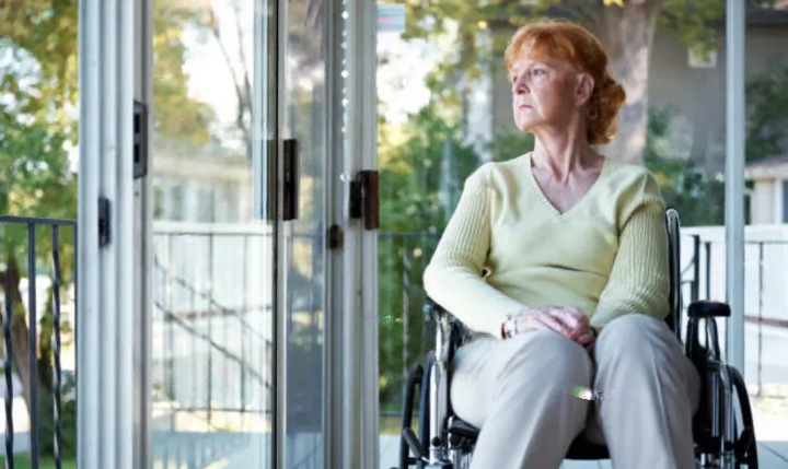My Son Turned Me Away While I Was in a Wheelchair — The Bank’s Reaction the Next Morning Changed Everything