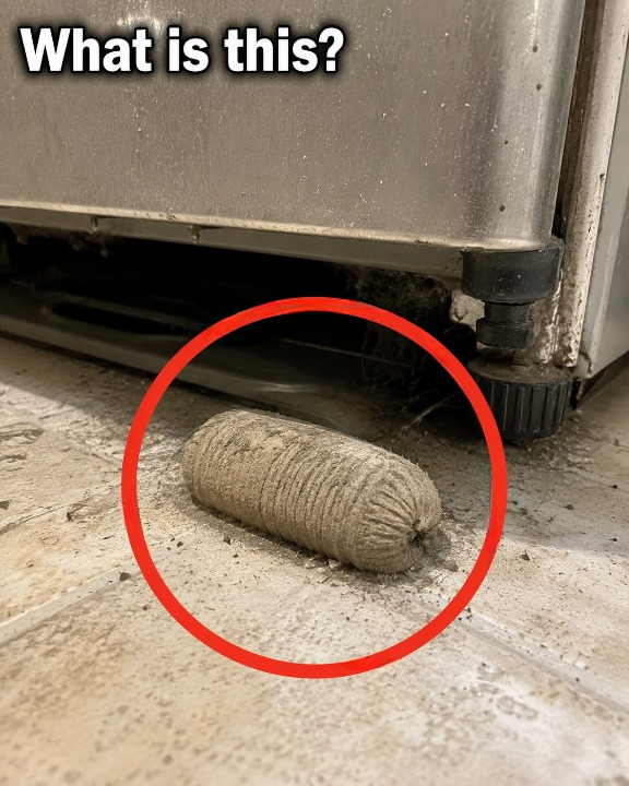 I Found This Strange Object Under My Refrigerator — The Answer Was Not What I Expected