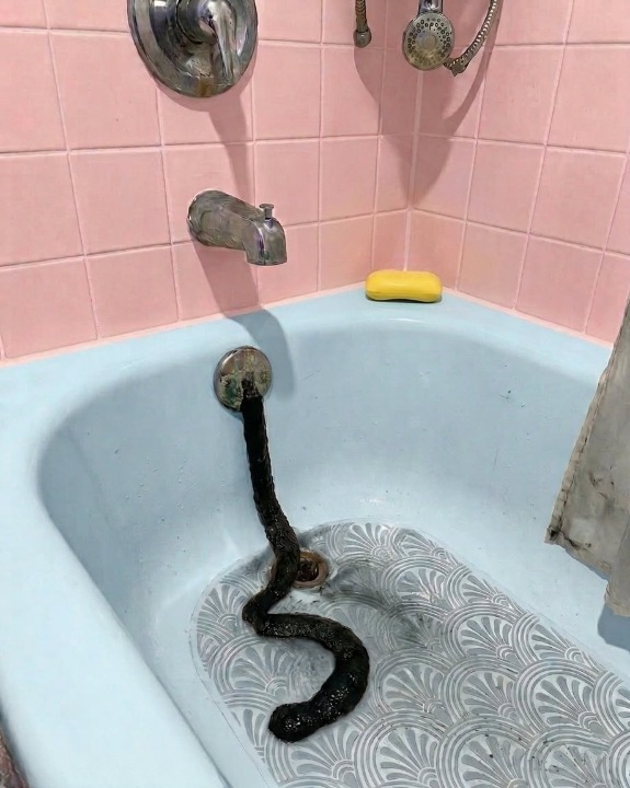 The Shape in the Drain: When Fear Turns Out to Be Something Ordinary