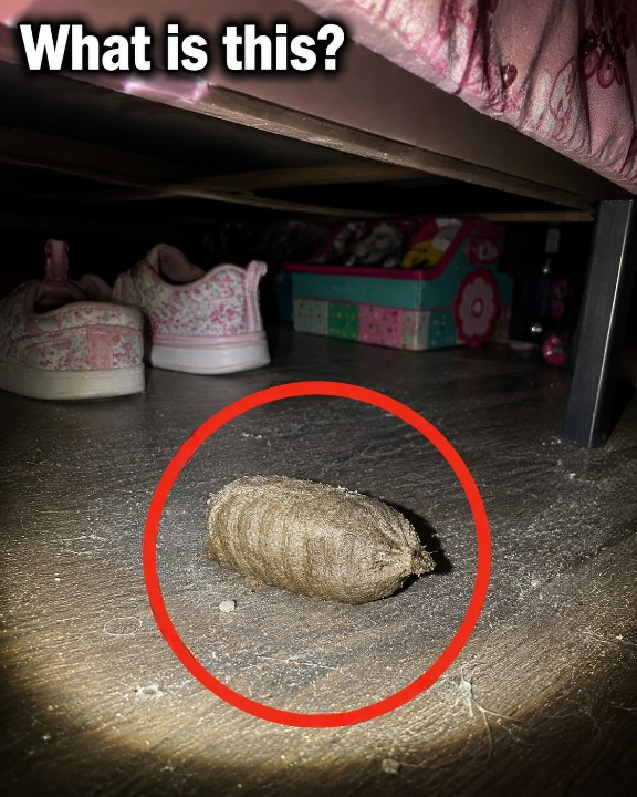I Found This Strange Object Under My Daughter’s Bed — The Discovery Left Me Completely Confused