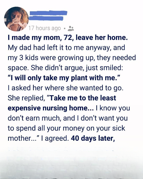I Chose the Cheapest Nursing Home for My Sick Mother — After She Died, One Plant Destroyed Me