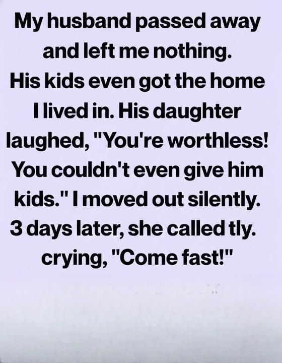 My Husband Died and Left Me Nothing — His Daughter Threw Me Out of the House I Built My Life In, Only for the Lawyer to Reveal a Hidden Clause That Turned Everything Upside Down and Gave Me Back More Than I Ever Expected