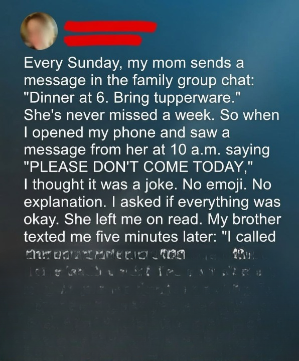 The Sunday Dinner Text That Shattered Everything We Thought We Knew About Our Family — and the Stranger Sitting in My Mother’s Kitchen Who Was Never Supposed to Exist