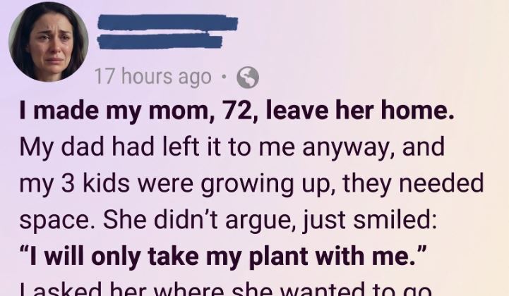 I Moved My Elderly Mother Into a Nursing Home — After She Passed Away, Her Plant Left Me Reflecting on Everything