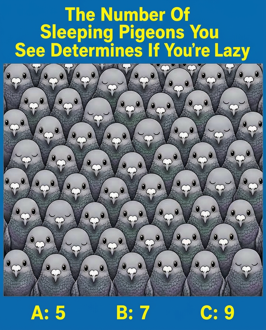 How Many Sleeping Pigeons Do You See? What Your Observation Style Says About You