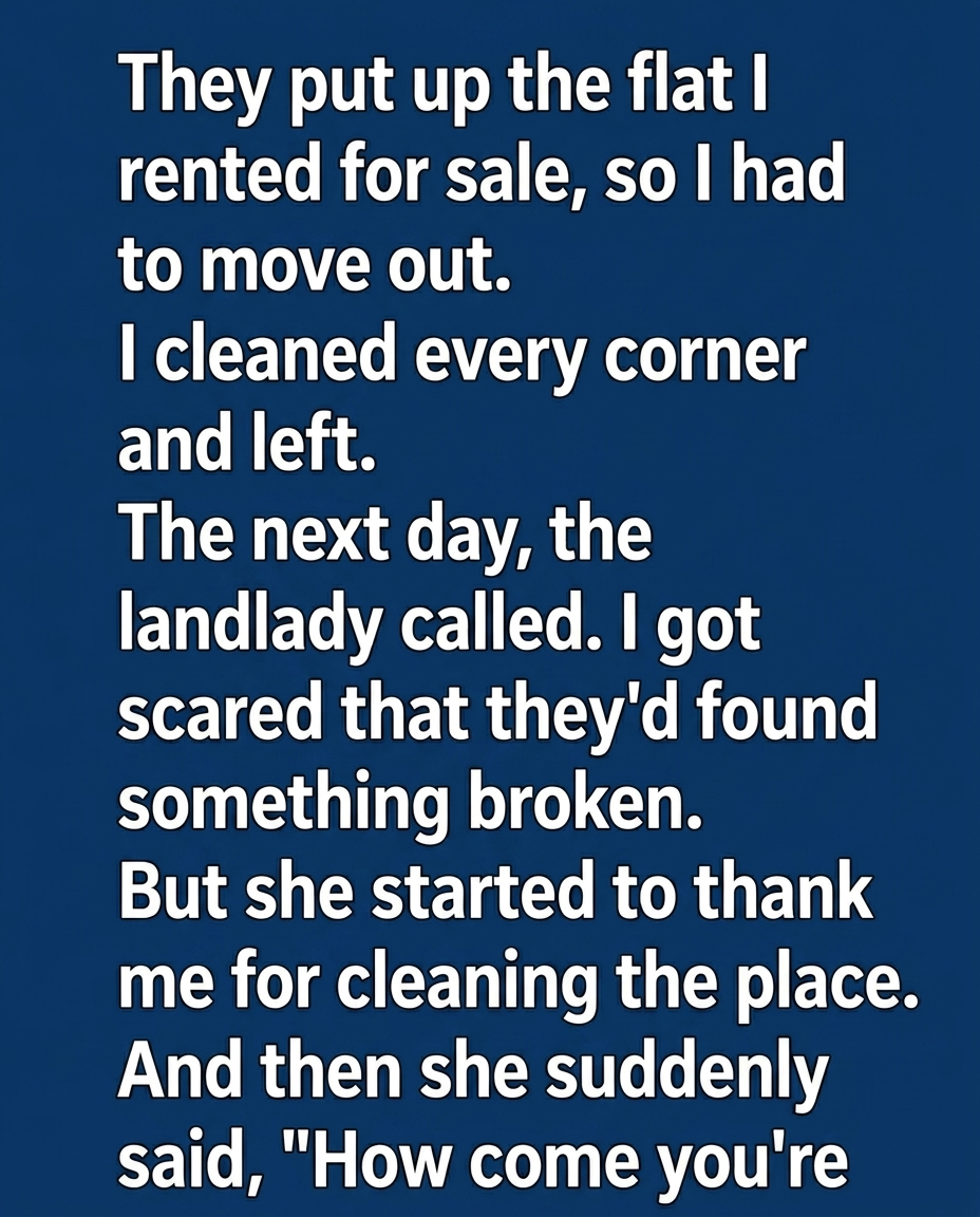 The Pristine Exit: Why My Former Landlady’s Phone Call Led to a Life-Changing Realization