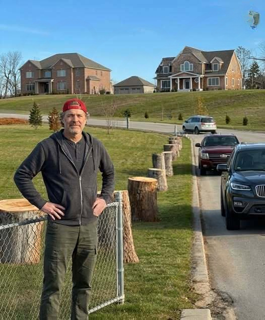 The Trees They Removed for a Better View: A Family Property Dispute That Became a Lesson About Respect and Boundaries