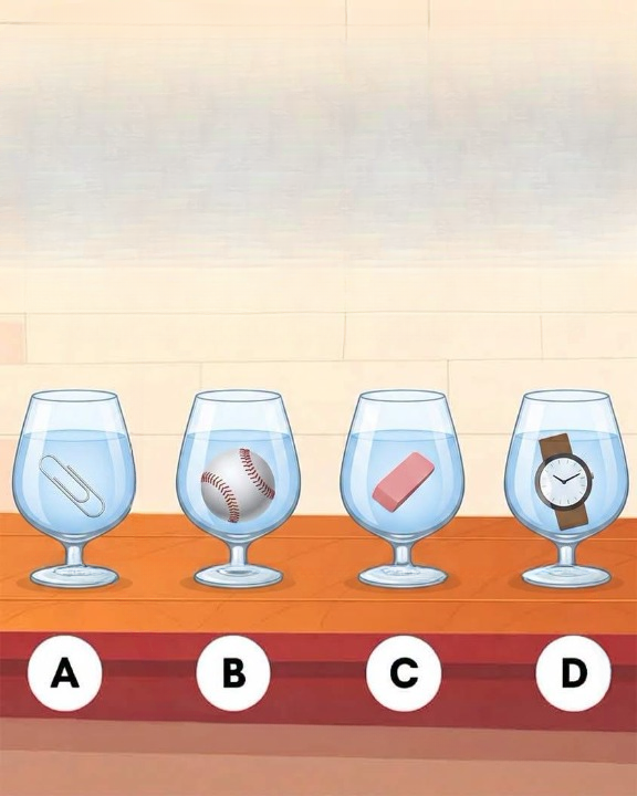 Which Glass Has More Water? The Simple Puzzle That Reveals How We Think