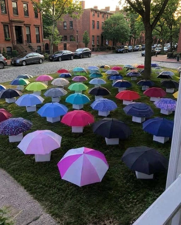 After My Son Shared His Umbrella, Our Family Received a Mysterious Gift